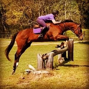 Meet your Posher, Tracie